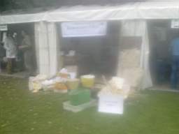 igs 2011 farmleigh 1525.jpg